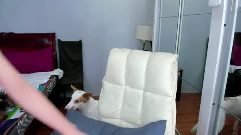 carla_bigcock09 online show from 20, 2, 2025