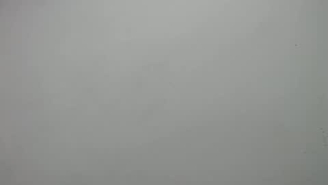 carla online show from 19, 2, 2025