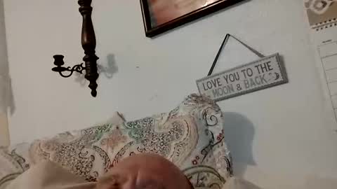 carldhammers online show from 8, 10, 2025