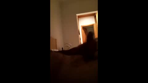 carlos1234500 online show from 16, 1, 2026