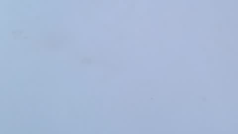 Snapshot of caro_loving chatting on 16, 2, 2026 caro online show from 16, 2, 2026