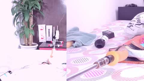 Carol online show from 12, 3, 2026