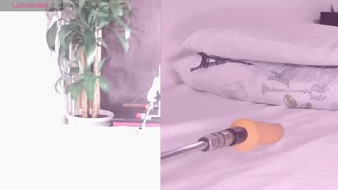 Carol online show from 26, 4, 2026