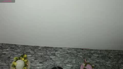 Camelia online show from 4, 11, 2025