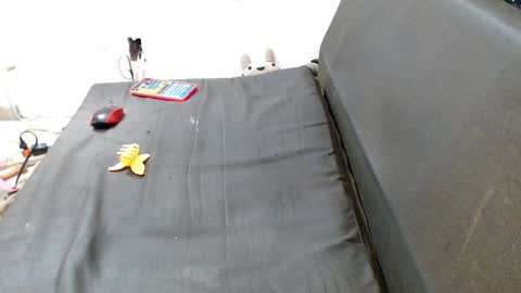 carol my sign is capricorn online show from 7, 12, 2024