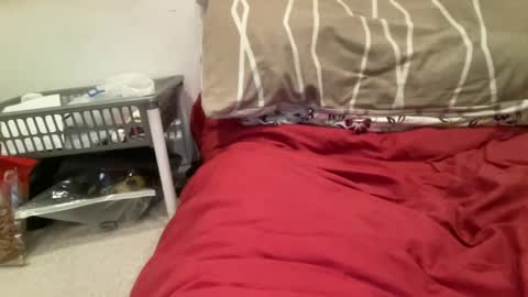 Snapshot of casanovacasaa chatting on 20, 2, 2025 casanovacasaa online show from 20, 2, 2025