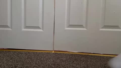 Snapshot of cash13bychanel chatting on 11, 12, 2024 cash13bychanel online show from 11, 12, 2024