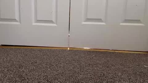 Snapshot of cash13bychanel chatting on 22, 1, 2025 cash13bychanel online show from 22, 1, 2025