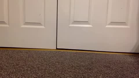 Snapshot of cash13bychanel chatting on 23, 1, 2025 cash13bychanel online show from 23, 1, 2025