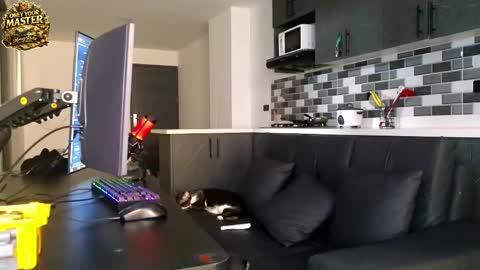 Snapshot of cash_master777 chatting on 21, 5, 2026 cash_master777 online show from 21, 5, 2026