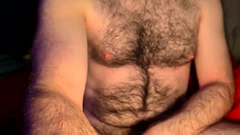 hairyokieotter online show from 22, 4, 2026