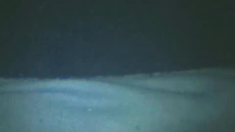 castells online show from 20, 2, 2025