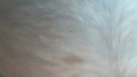 castells online show from 22, 9, 2025