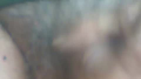 castells online show from 9, 10, 2025