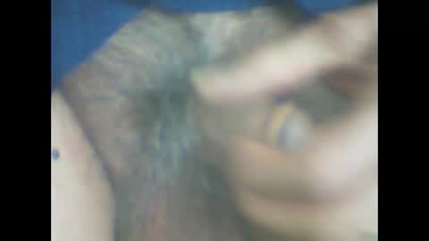 castells online show from 7, 4, 2026