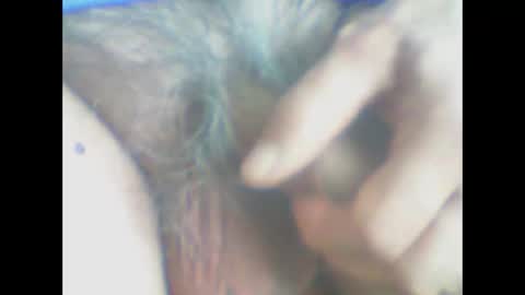 castells online show from 19, 4, 2026