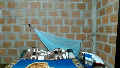 catalina online show from 5, 11, 2025