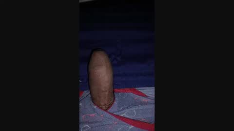 catacock45 online show from 30, 12, 2024