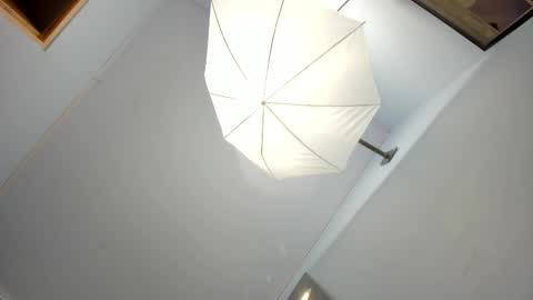 Cataleya online show from 2, 2, 2025