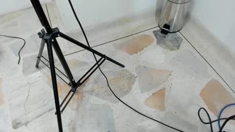 catalina ada online show from 11, 3, 2025