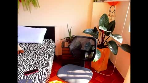 Cataina Lince online show from 9, 12, 2024