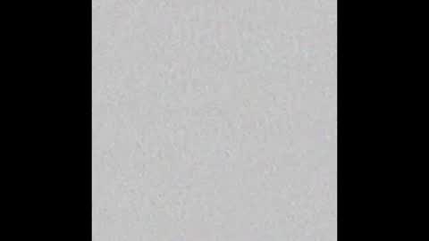 CATALEYA  online show from 31, 1, 2025