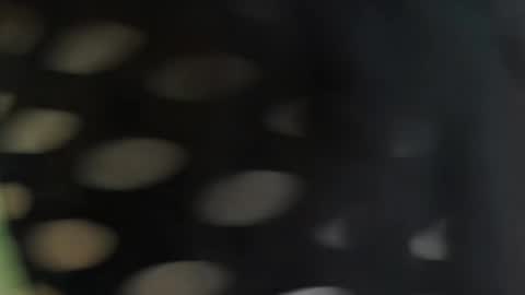 cattleyascaly online show from 25, 9, 2025