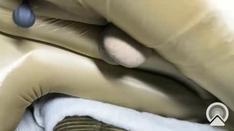 ccXora online show from 7, 3, 2026