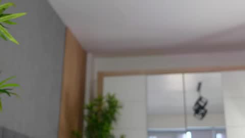 Celestara online show from 4, 3, 2025