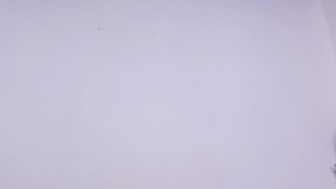 Celeste online show from 8, 10, 2025