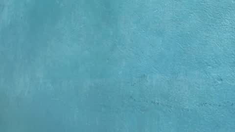 Celestial online show from 28, 3, 2026