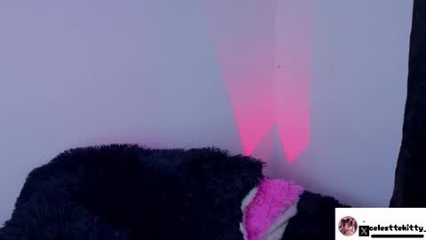 celestte_evans_1 online show from 8, 2, 2026