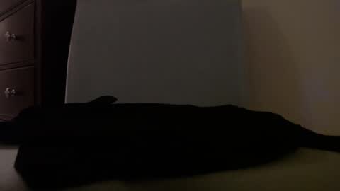 Snapshot of centerfield24 chatting on 14, 1, 2025 Centerfield online show from 14, 1, 2025