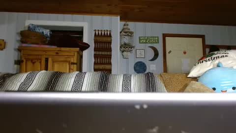 cguffey2284 online show from 29, 12, 2024