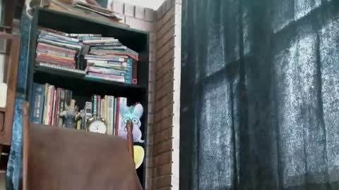 cguffey2284 online show from 18, 2, 2025