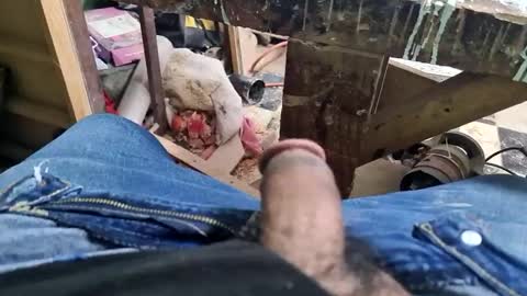 Snapshot of charly2289 chatting on 9, 9, 2025 Parcero online show from 9, 9, 2025