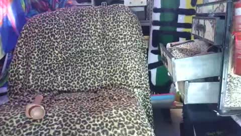 Sah009XXX online show from 7, 3, 2026