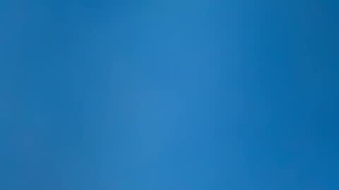 chat306571 online show from 29, 4, 2026