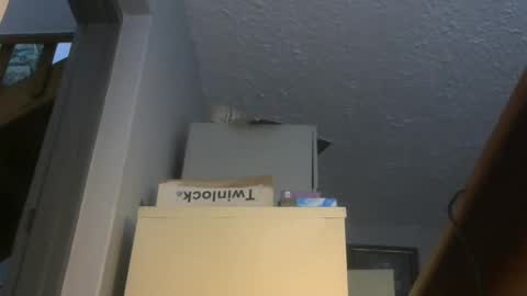 Snapshot of chaturbatordeluxe chatting on 17, 11, 2025 chaturbatordeluxe online show from 17, 11, 2025