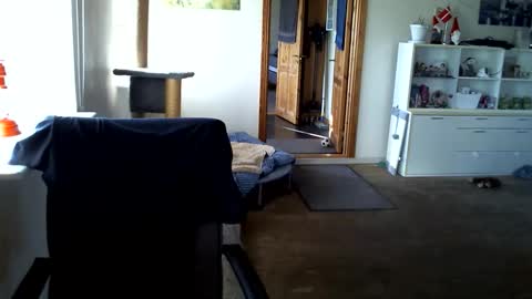 Snapshot of chefben666 chatting on 31, 3, 2026 chefben666 online show from 31, 3, 2026