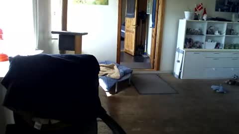 Snapshot of chefben666 chatting on 12, 4, 2026 chefben666 online show from 12, 4, 2026