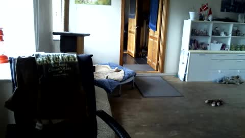 Snapshot of chefben666 chatting on 15, 4, 2026 chefben666 online show from 15, 4, 2026