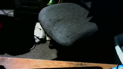 chefy online show from 13, 1, 2025