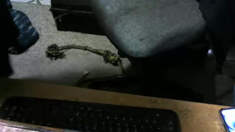 chefy online show from 10, 11, 2025