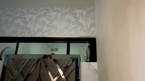   online show from 15, 4, 2026