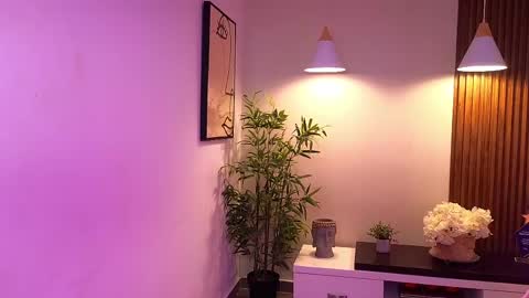 Sery online show from 1, 6, 2026