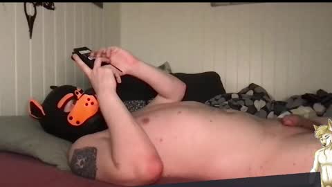 Snapshot of chestandbellyfetish chatting on 28, 3, 2026 ChestBellyFetish online show from 28, 3, 2026