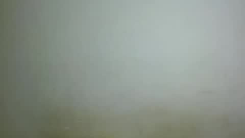 chocolatebony_ online show from 22, 1, 2025