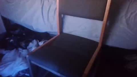 CreepyCrawlyQueenIsmyfavstreamerbyfar online show from 2, 3, 2026