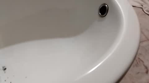 Snapshot of ciccilli chatting on 26, 10, 2025 ciccilli online show from 26, 10, 2025